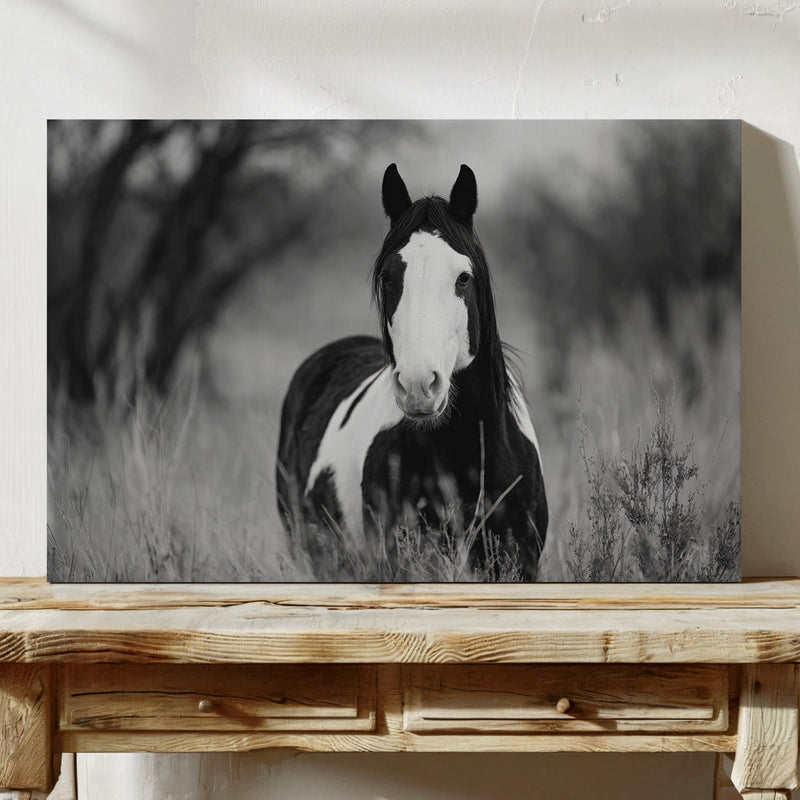 Wild Hearts Run Free