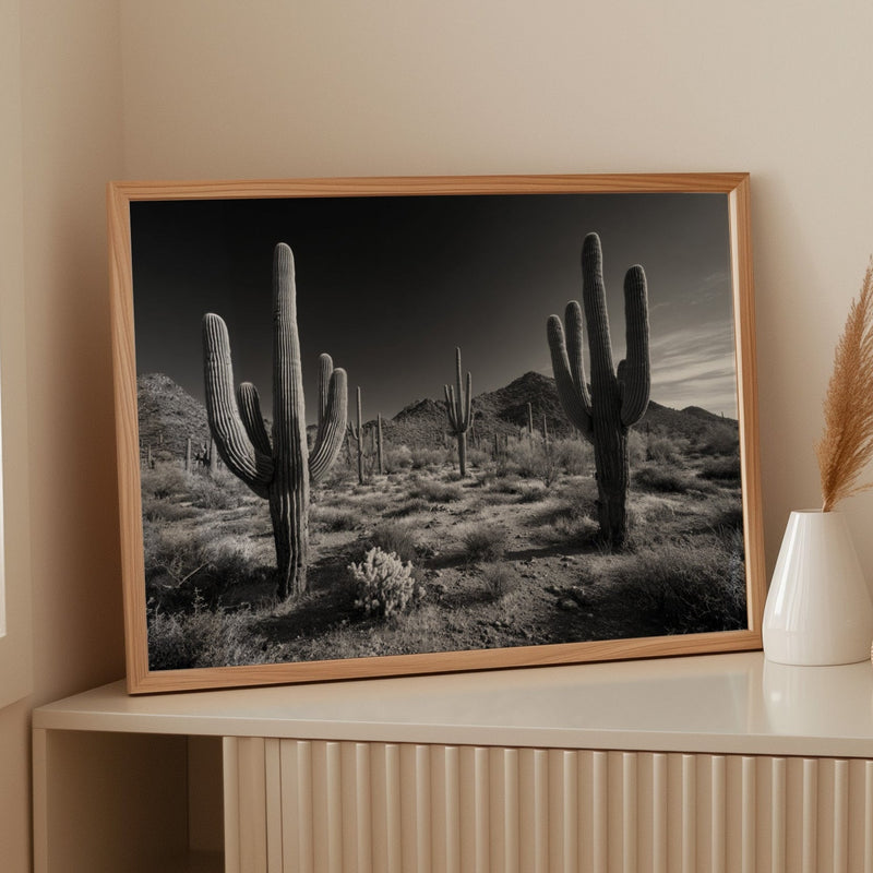 Sentinels of the Sonoran