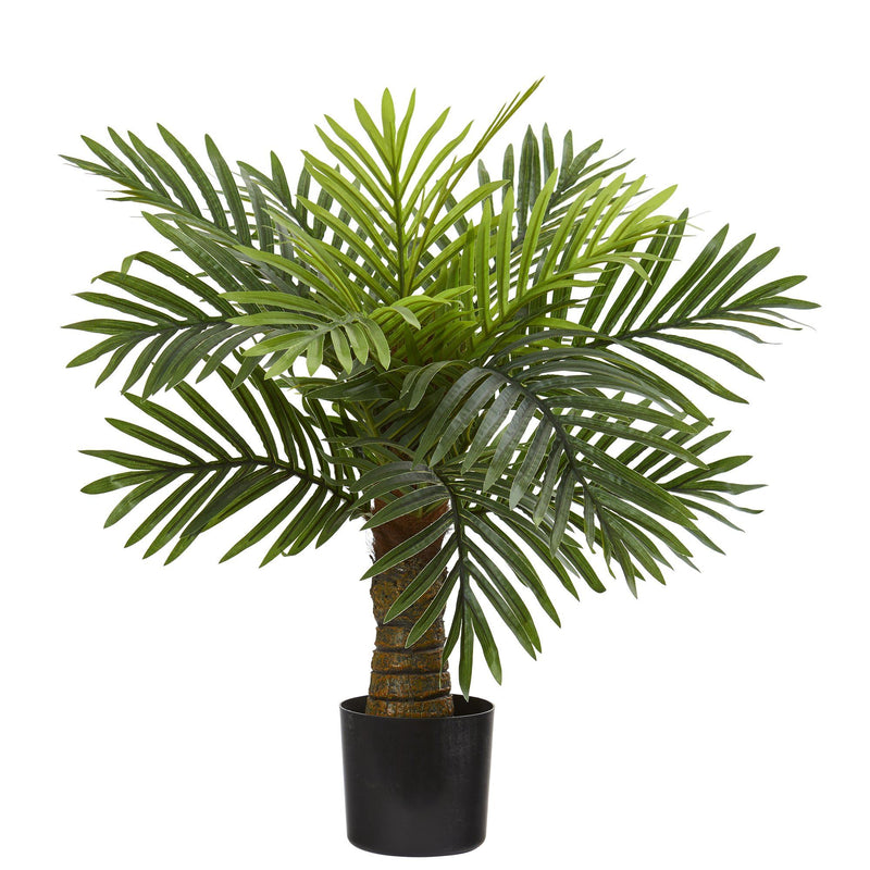 26” Robellini Palm Artificial Tree by Nearly Natural