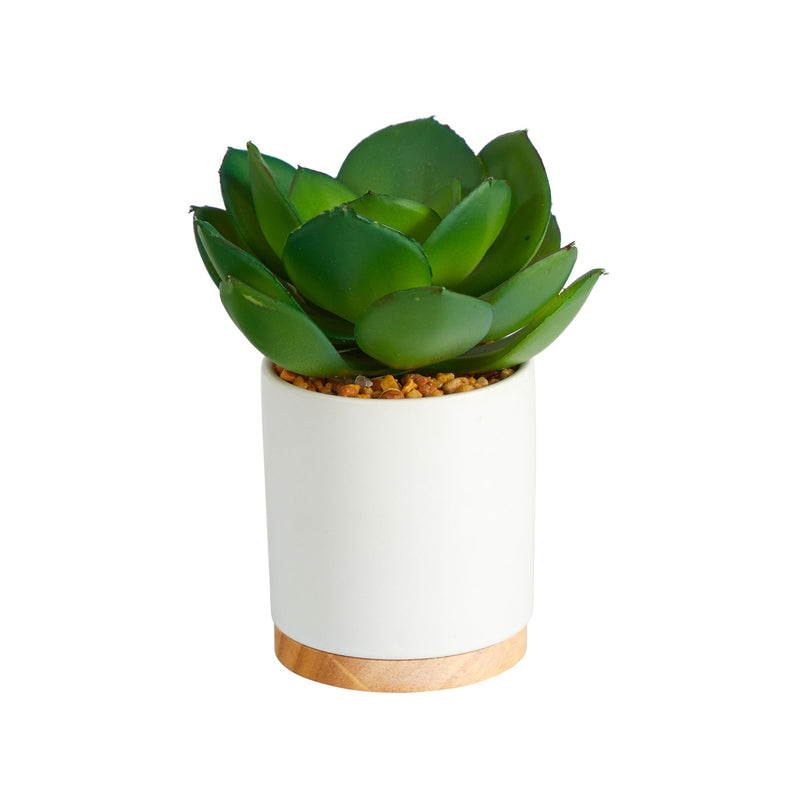 6” Succulent Artificial Plant in White Ceramic Planter by Nearly Natural
