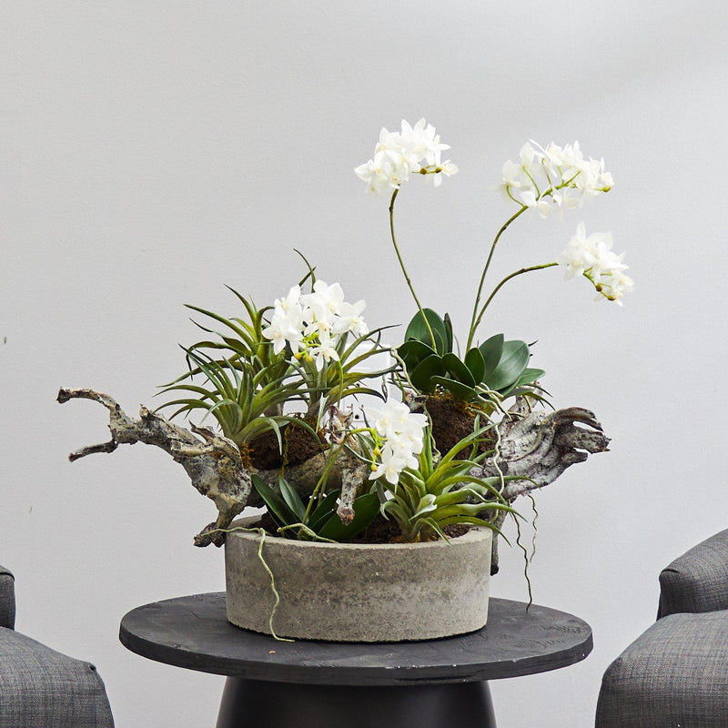 Orchid & Succulent Garden w/Driftwood & Decorative Vase by Nearly Natural