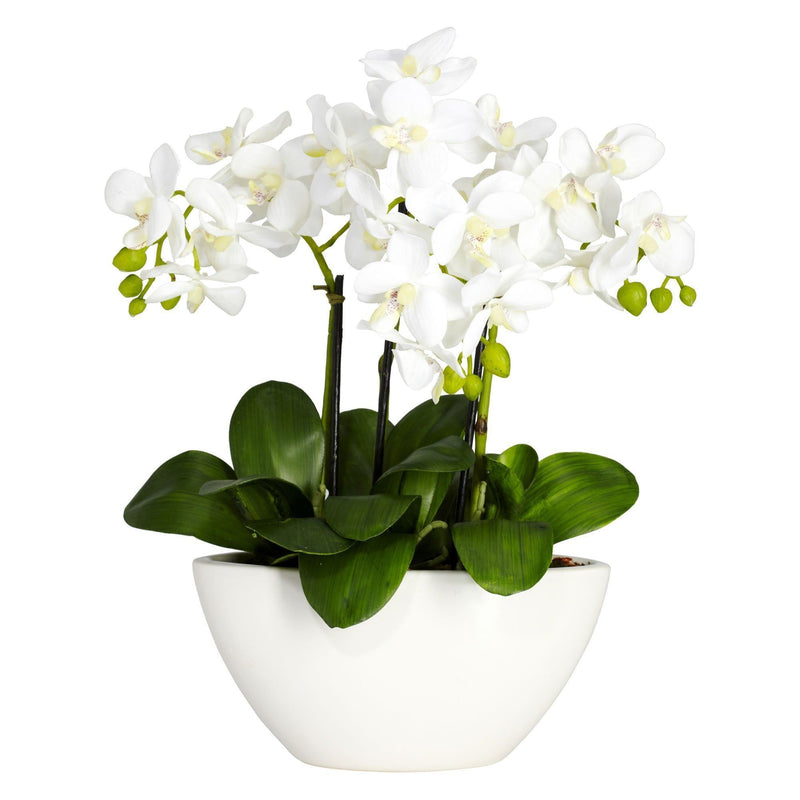 Artificial Phalaenopsis Arrangement by Nearly Natural