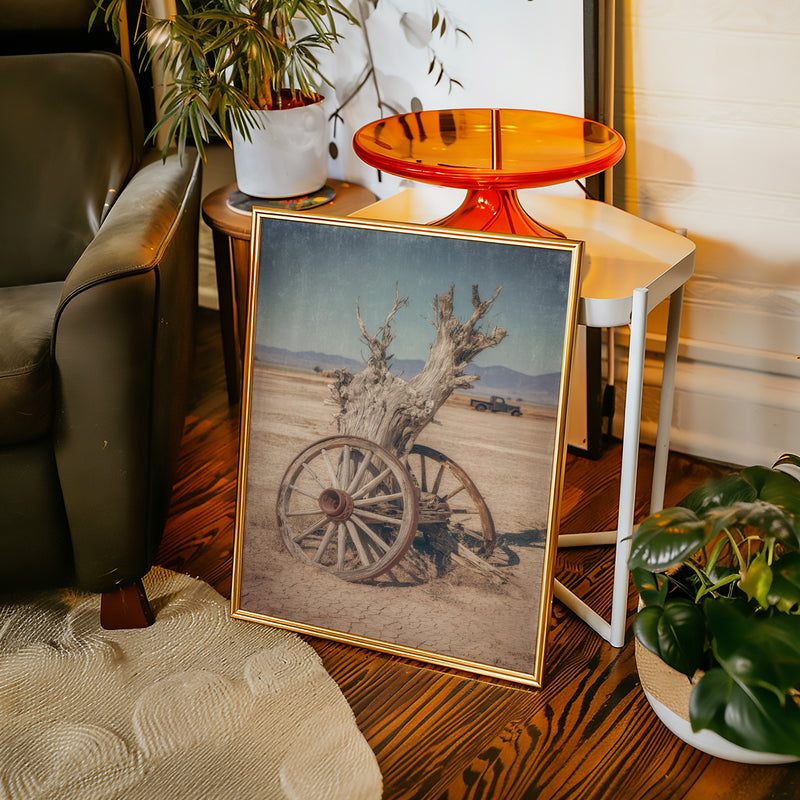 Roots of Forgotten Journeys