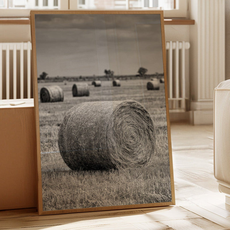 Harvested Echoes of Summer