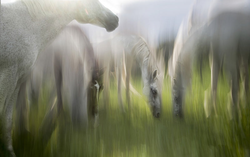 Impression By Milan Malovrh