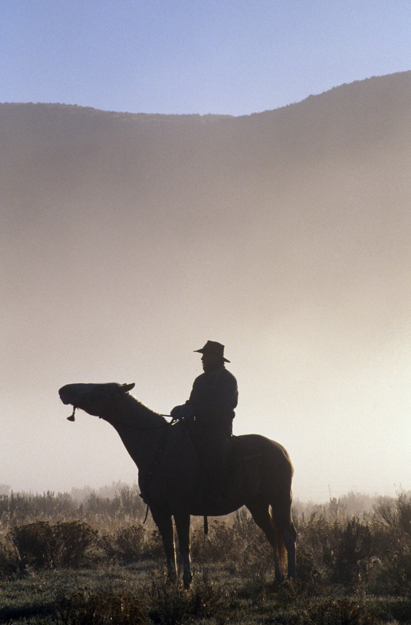 Silhouetted Cowboy On Horseback In Fog