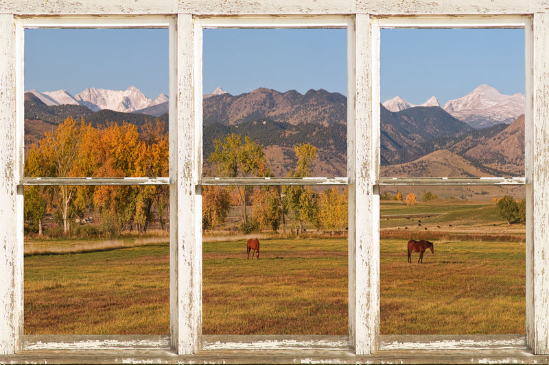 Horses Autumn White Barn Picture Window View