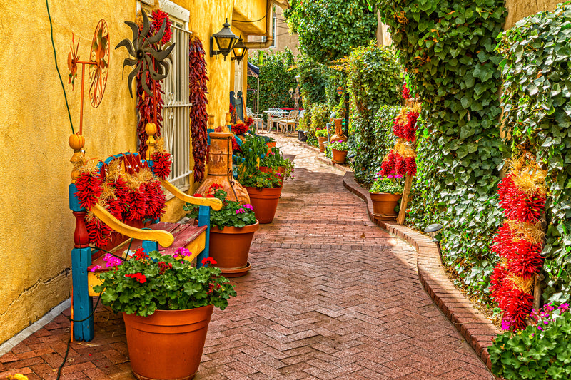 Albuquerque Patio with Ristra D