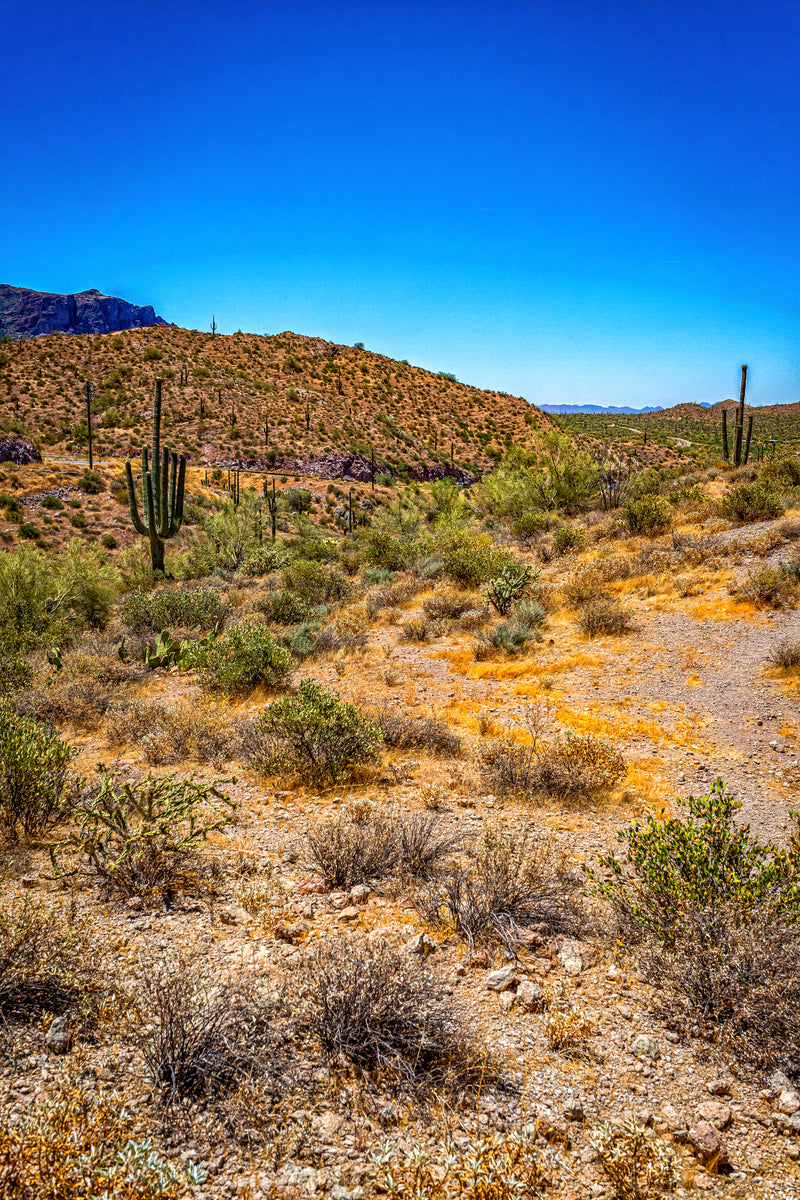 Apache Trail Scenic Drive View