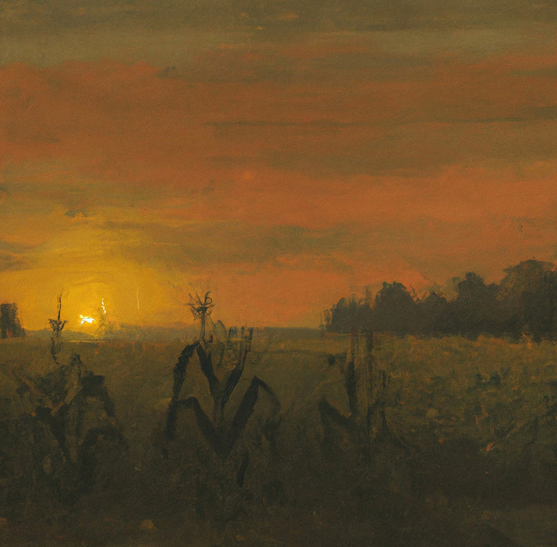 Cornfield at Sunset II