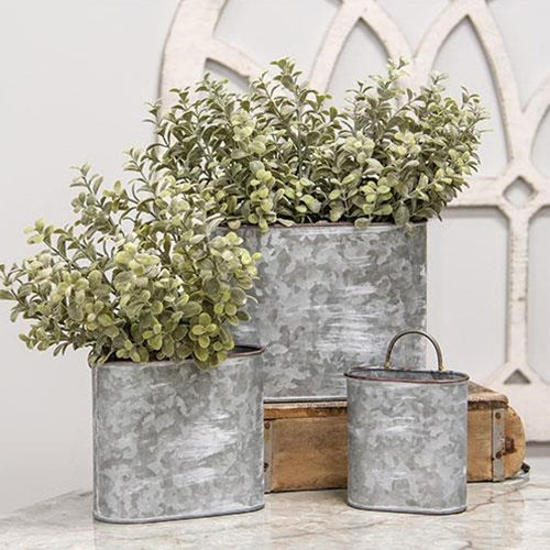 galvanized pots for plants Galvanized Oval Wall Planters (Set of 3)