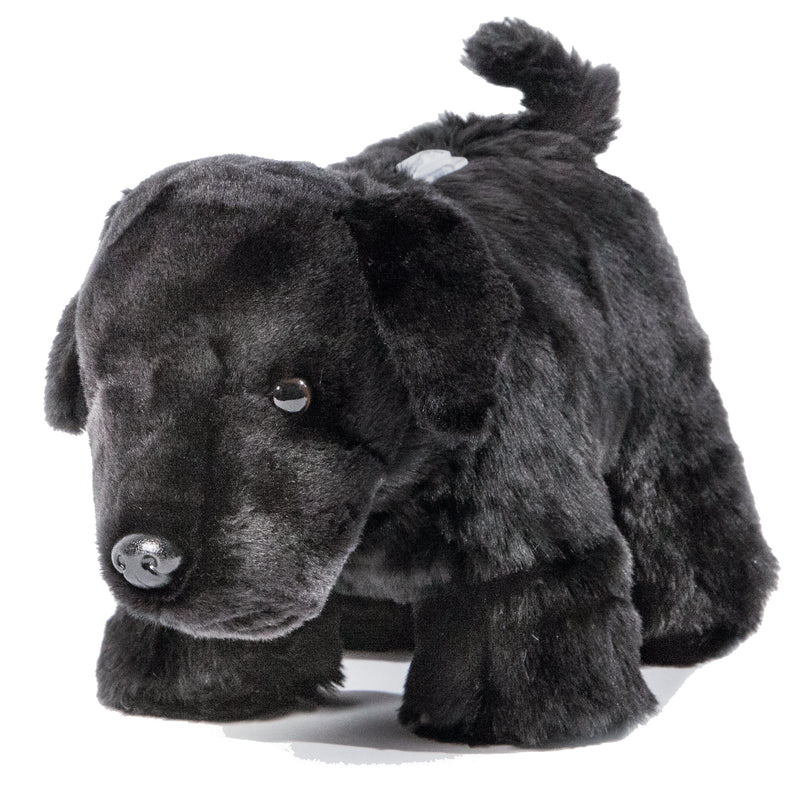Black Lab Coin Bank