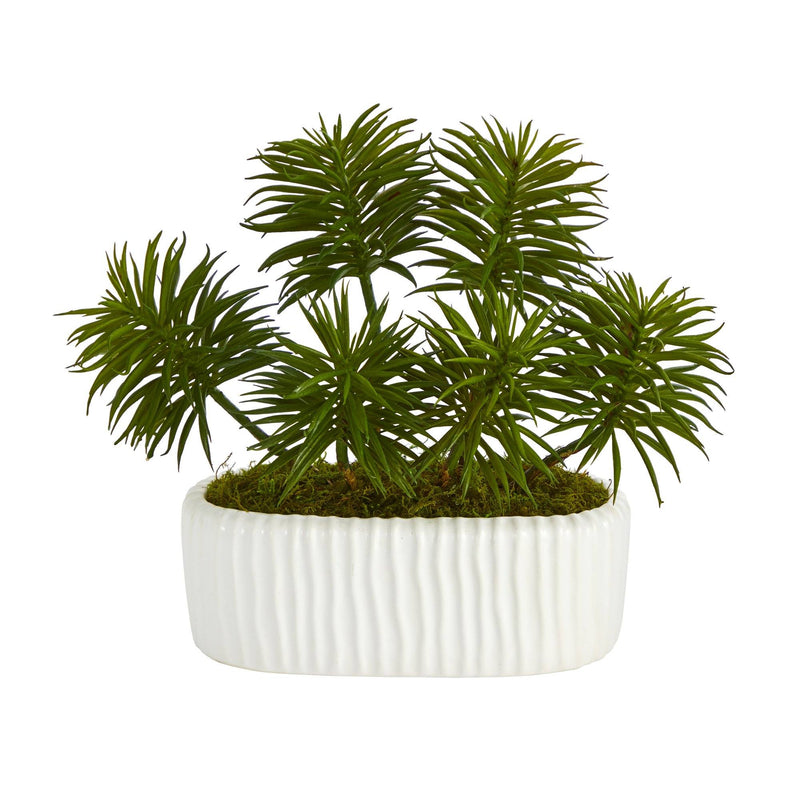 10” Succulent Artificial Plant in White Planter by Nearly Natural