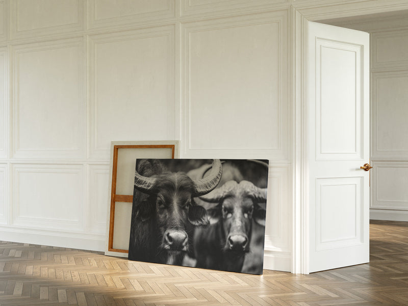 Guardians of the Pasture