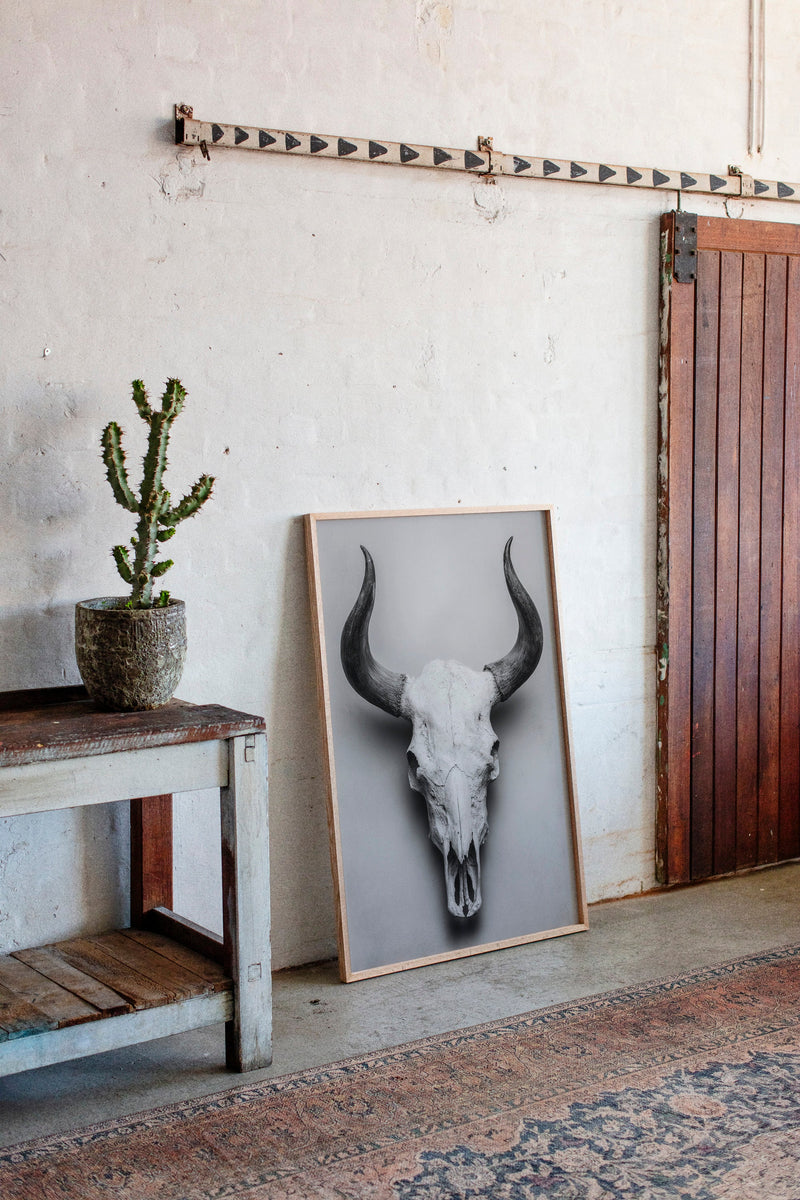 Silent Witness to Time