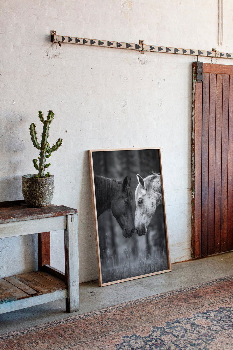 A Gentle Touch of Trust