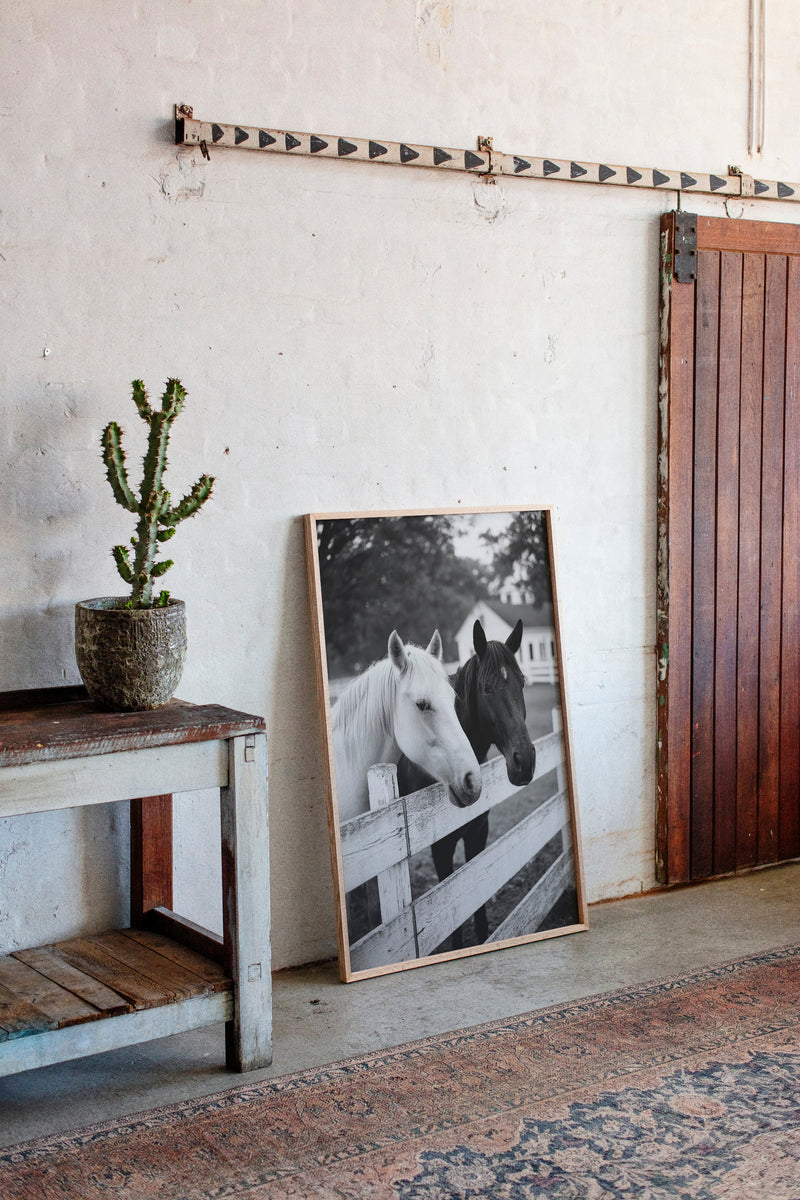 Pasture Gate Conversations