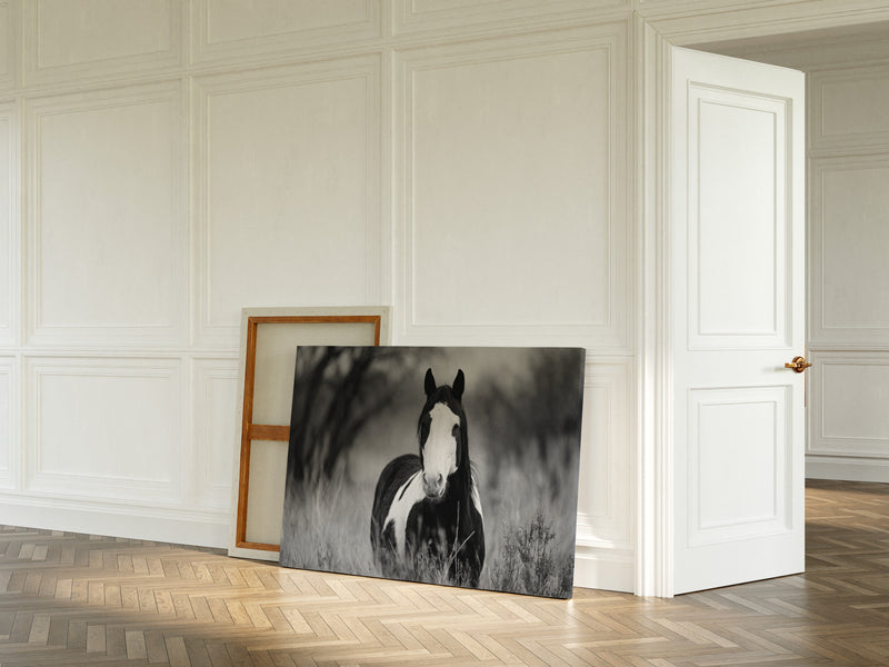 Wild Hearts Run Free