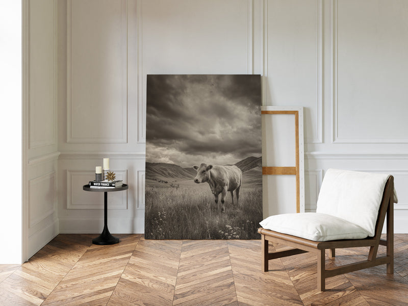 Young Dreams Under Big Sky