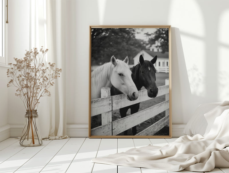 Pasture Gate Conversations