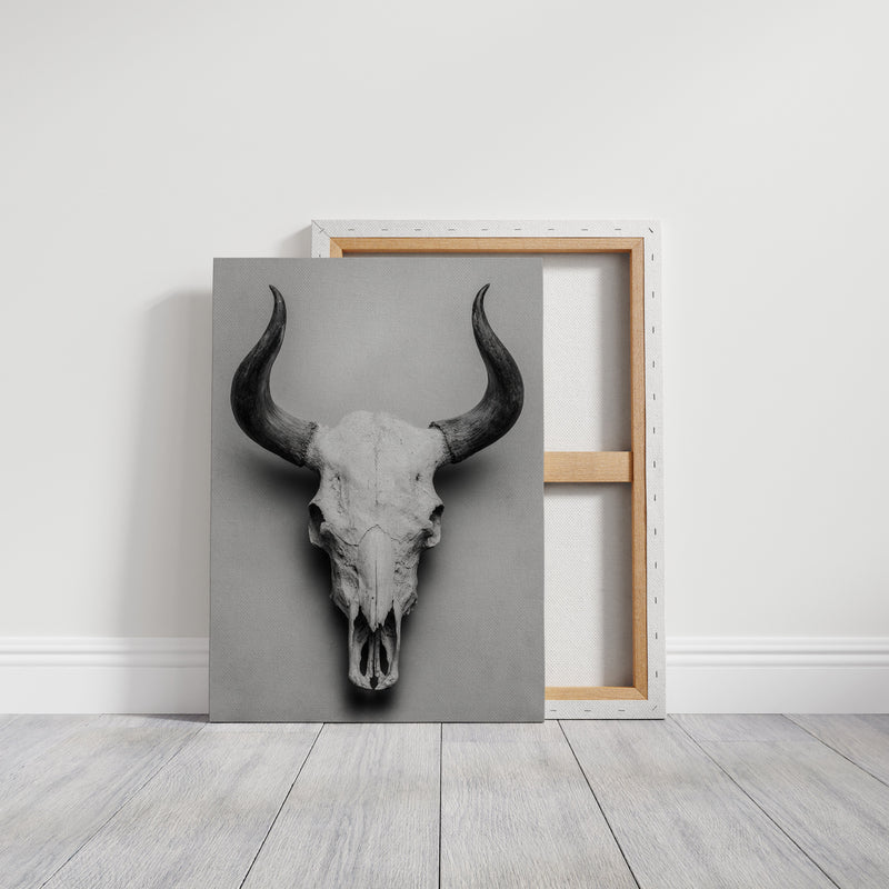 Silent Witness to Time