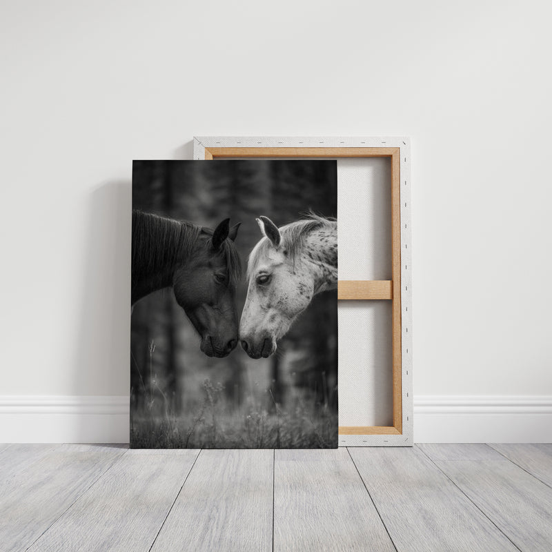 A Gentle Touch of Trust