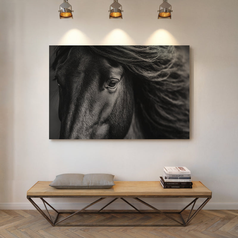 Window to the Wild Soul