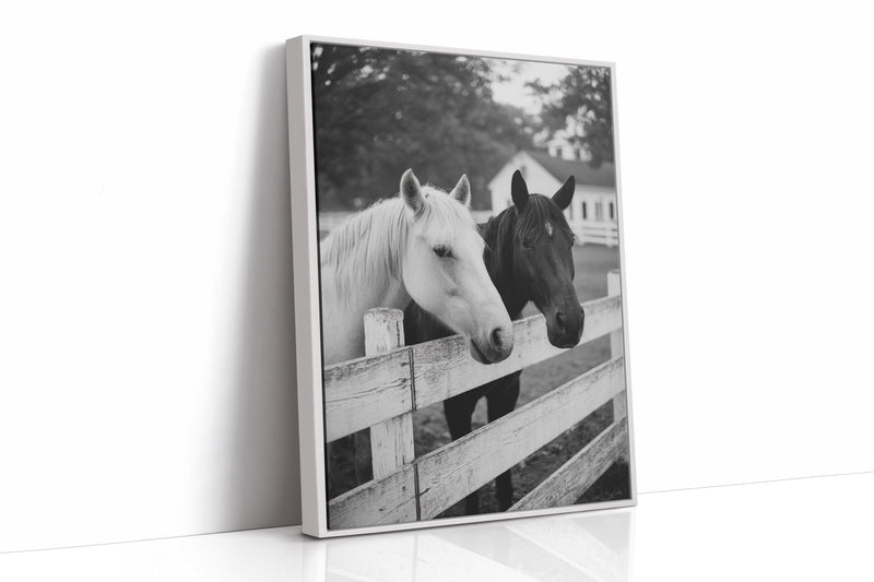 Pasture Gate Conversations