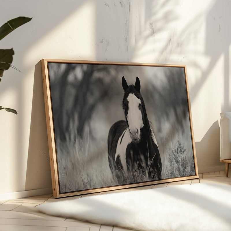 Wild Hearts Run Free