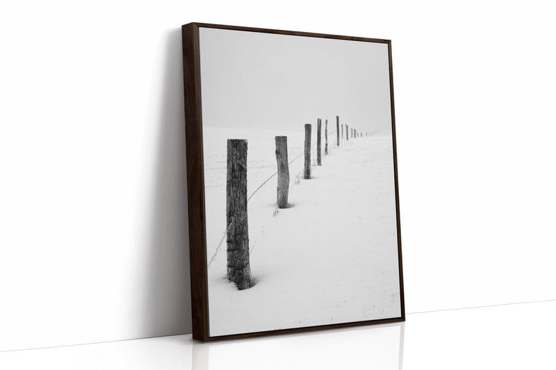 Where Fences Meet Forever