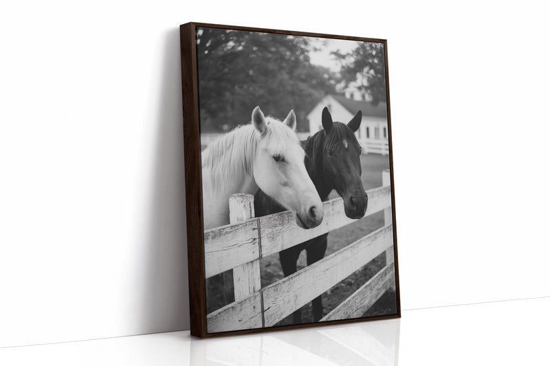 Pasture Gate Conversations