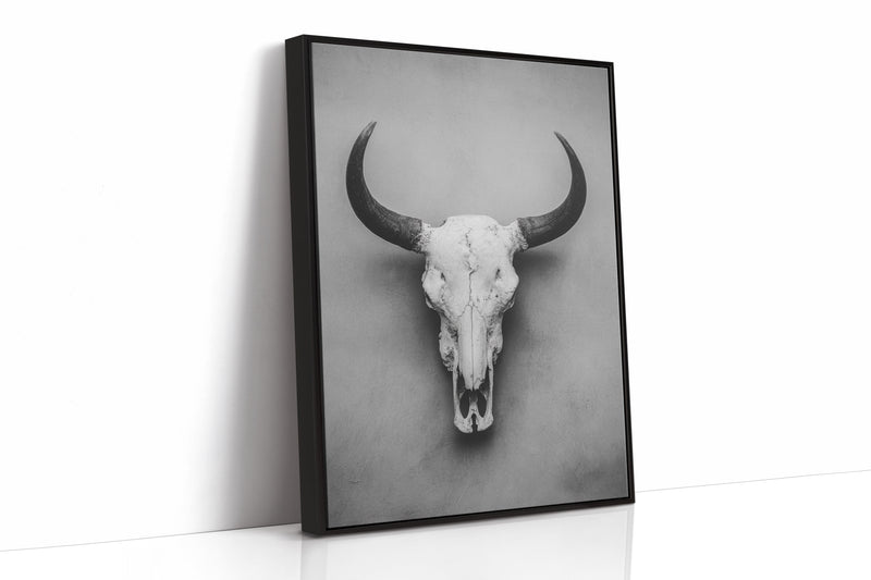 Where Thunder Once Roamed