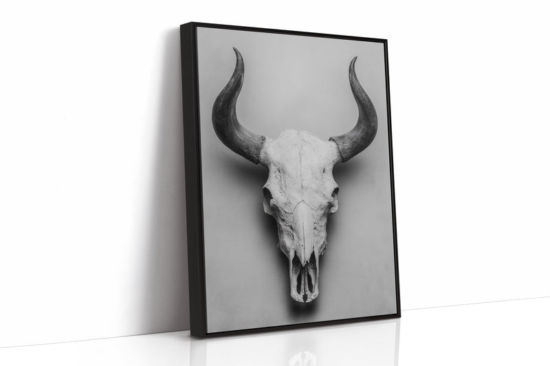 Silent Witness to Time