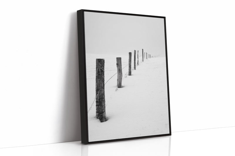 Where Fences Meet Forever