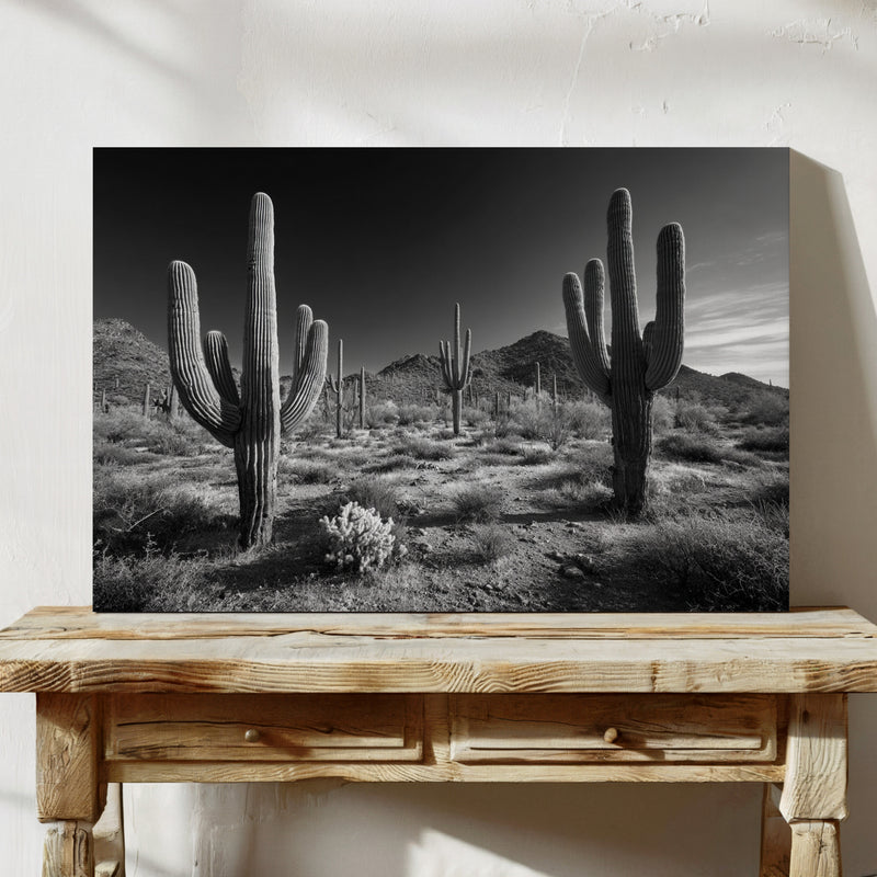 Sentinels of the Sonoran