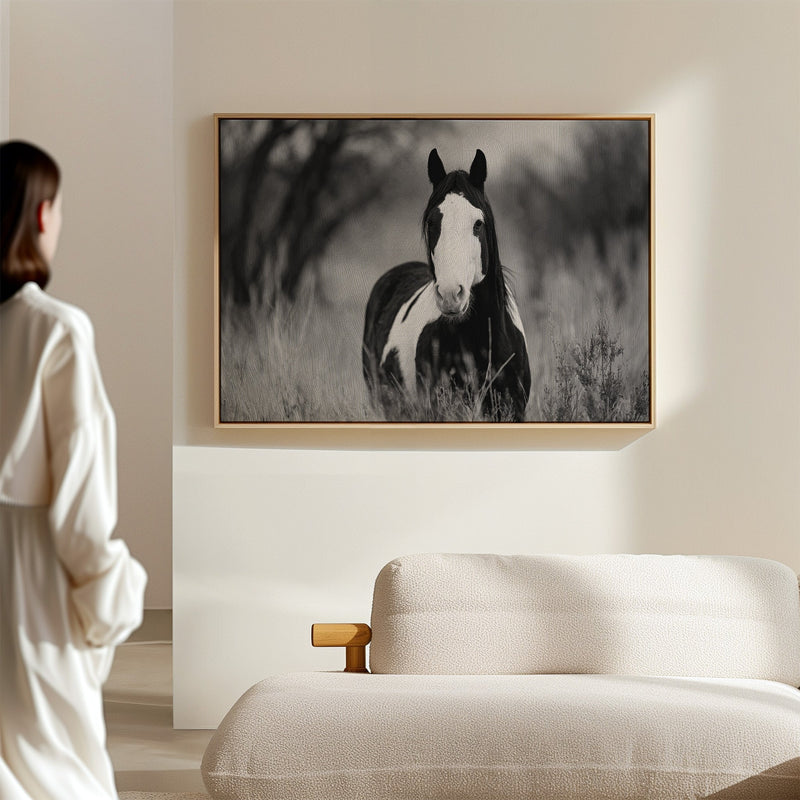 Wild Hearts Run Free