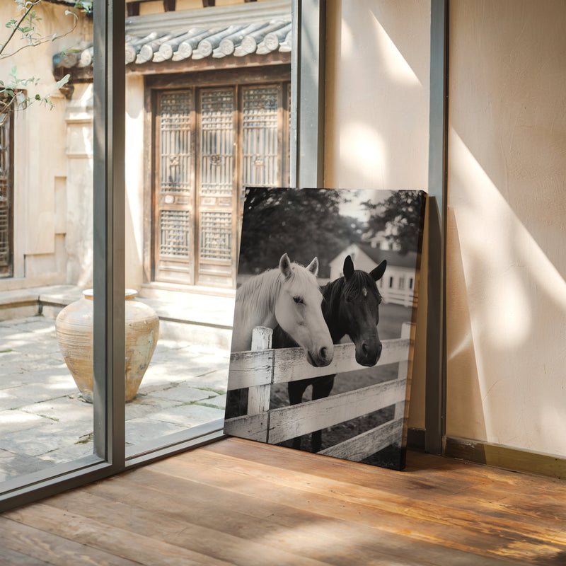 Pasture Gate Conversations