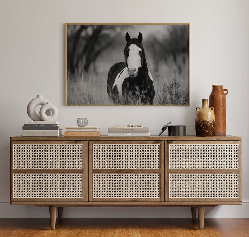 Wild Hearts Run Free