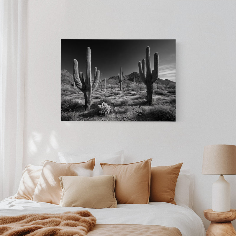 Sentinels of the Sonoran