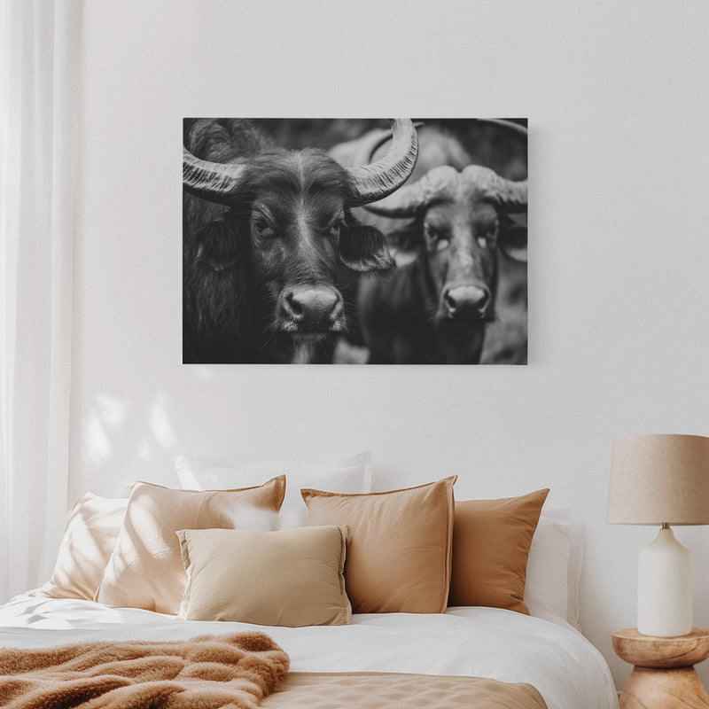 Guardians of the Pasture