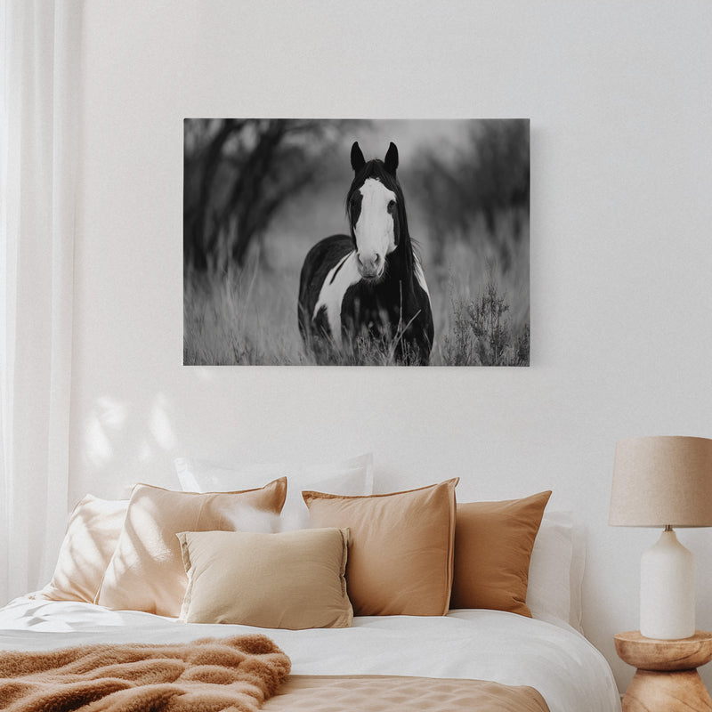 Wild Hearts Run Free