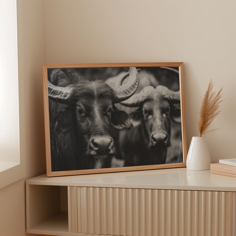 Guardians of the Pasture