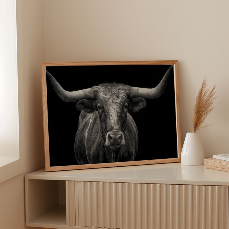 The Monarch of Texas