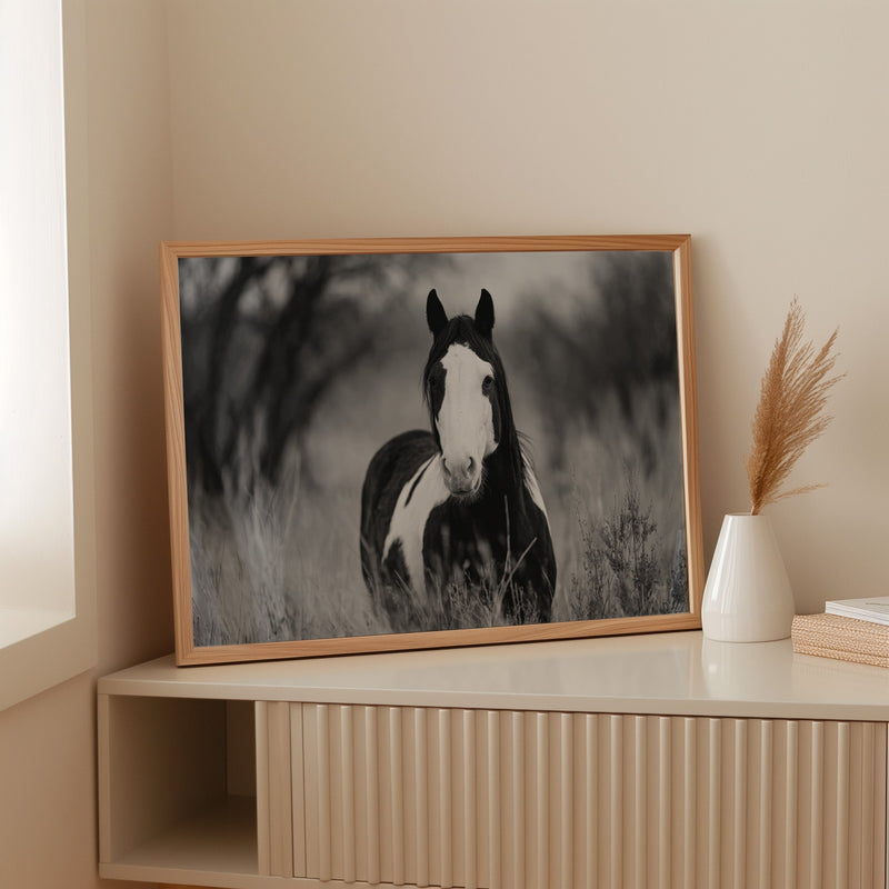 Wild Hearts Run Free