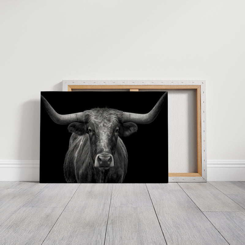 The Monarch of Texas