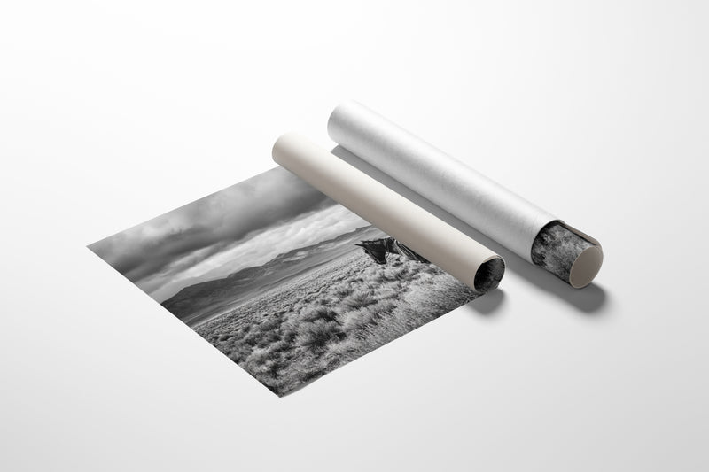 Beneath an Endless Sky