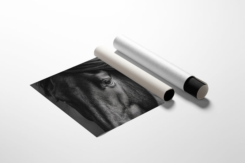 Window to the Wild Soul