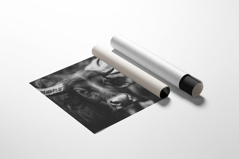 Guardians of the Pasture