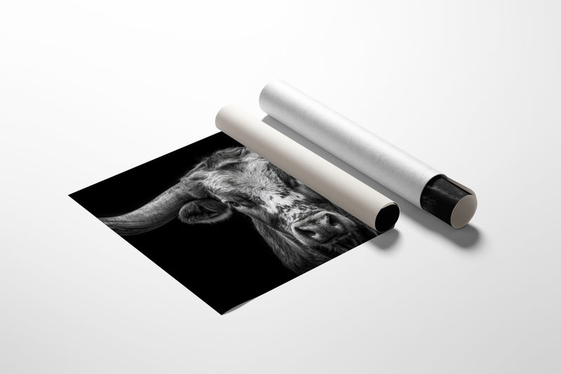 Stare Down with Legend