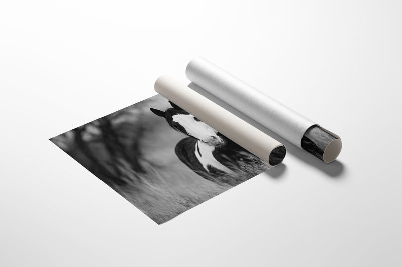 Wild Hearts Run Free